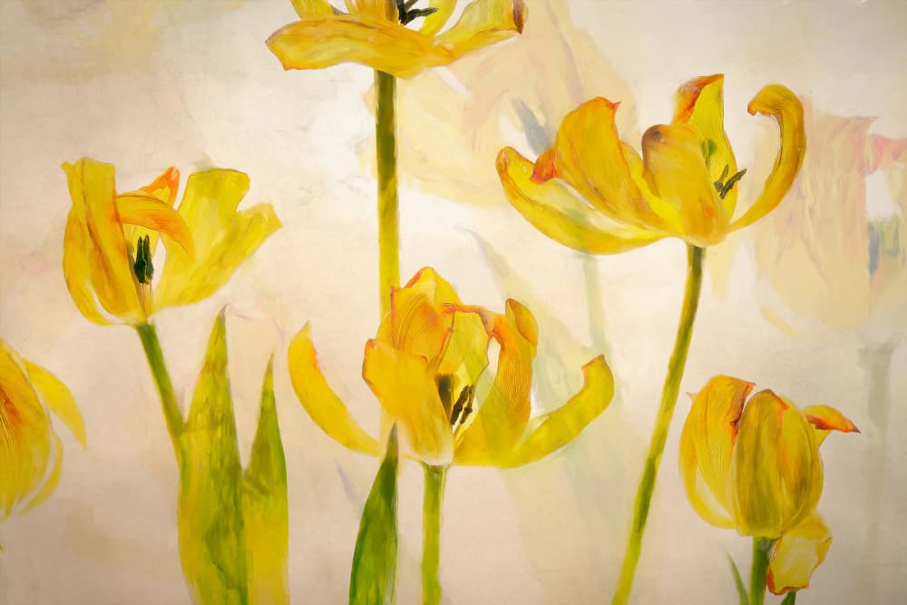 Flowering tulips by Nel Talen — canvas wall art
