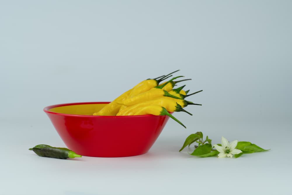Yellow Peppers Red Bowl by FranzStaab — canvas wall art