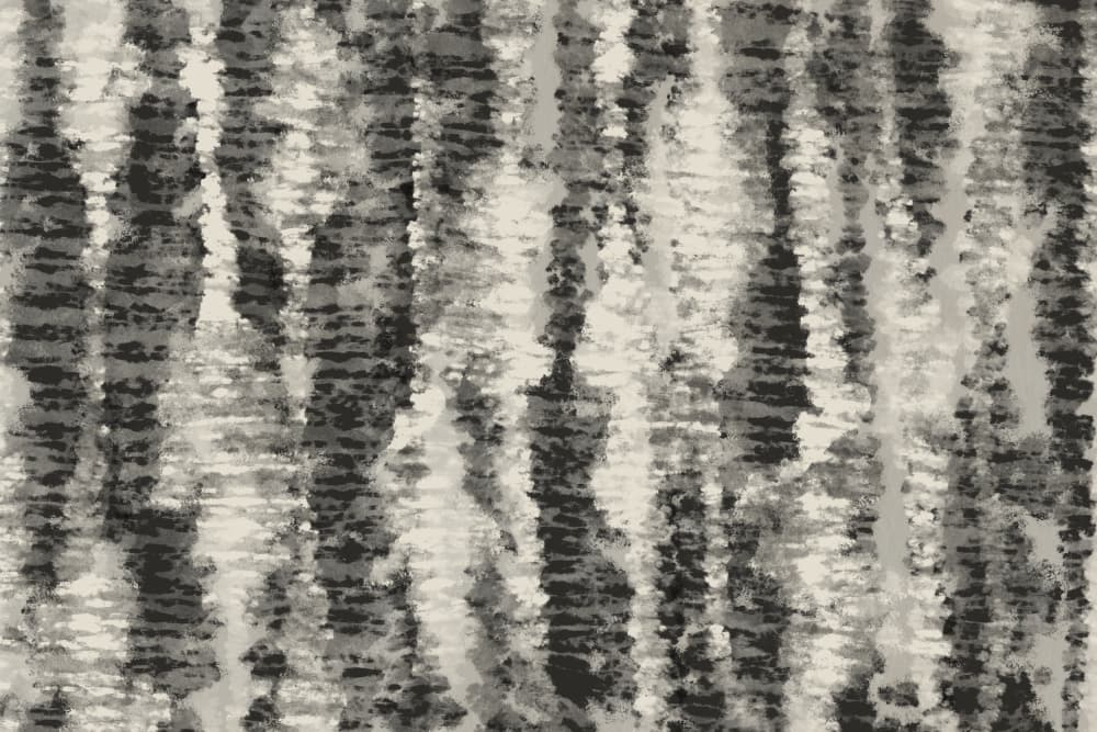 Monochrome Streaks by Treechild — canvas wall art