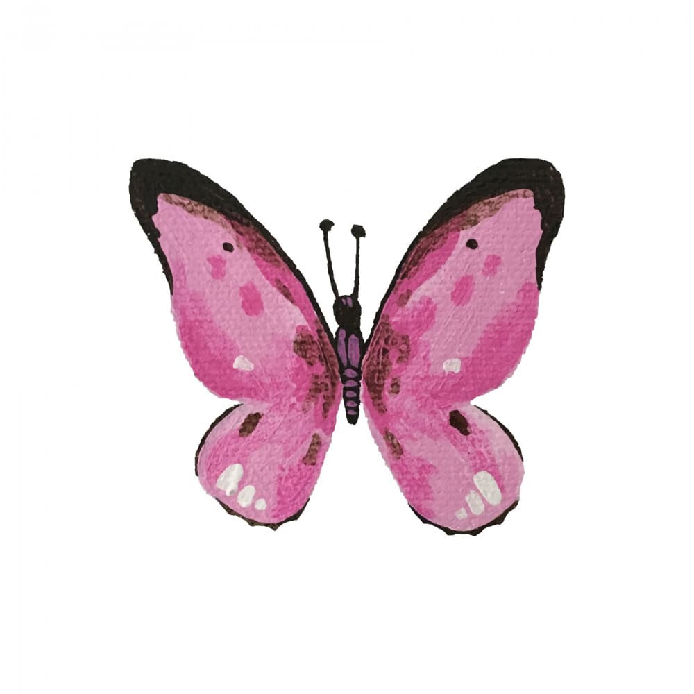 Delicate Pink Butterfly by Madison Phipps — canvas wall art