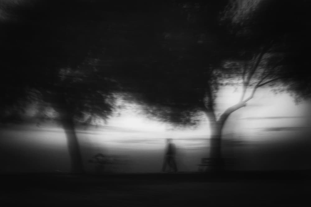 Lone Walker Among Trees by Ali Ayer — canvas wall art