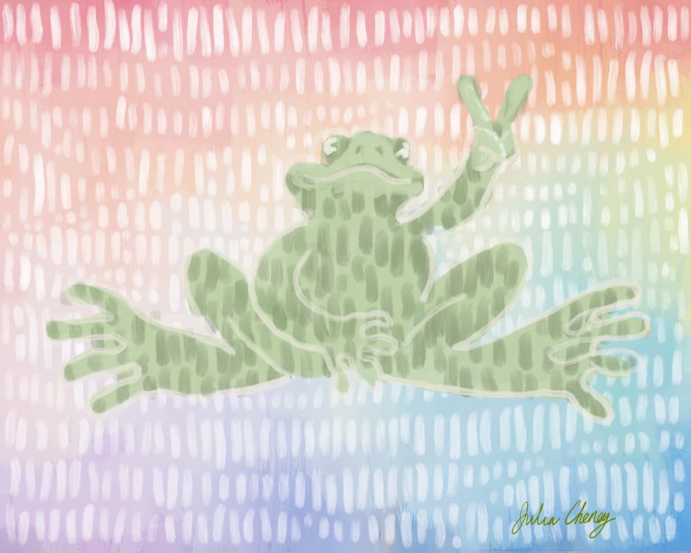 Rainbow Frog Peace Sign by Julia Cheney — canvas wall art