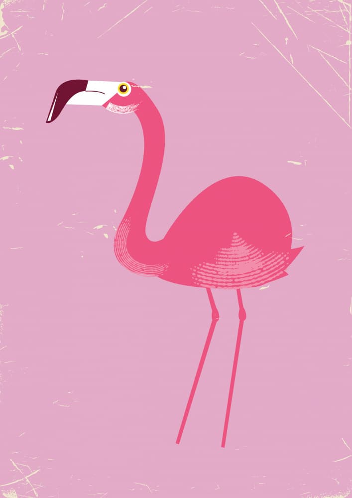 Pink Flamingo Style