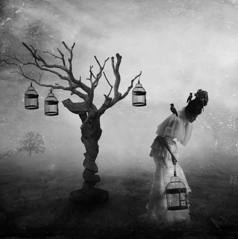 Ethereal Woman Empty Cages by Hari Sulistiawan — canvas wall art
