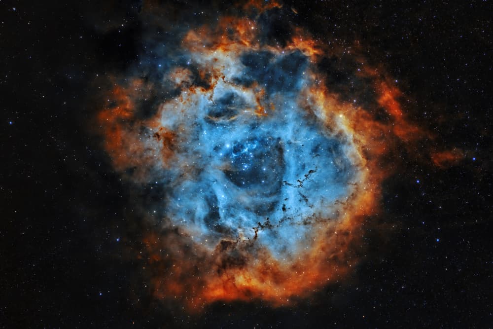 Rosette Nebula Glow by Jose Maria D. Barba — canvas wall art