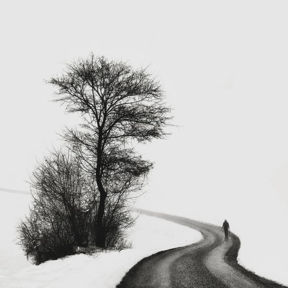 Solitary Winter Journey by Samanta Krivec — canvas wall art