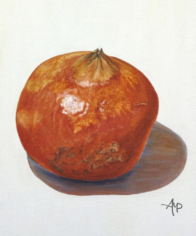 Rustic Pomegranate by Angeles M. Pomata — canvas wall art