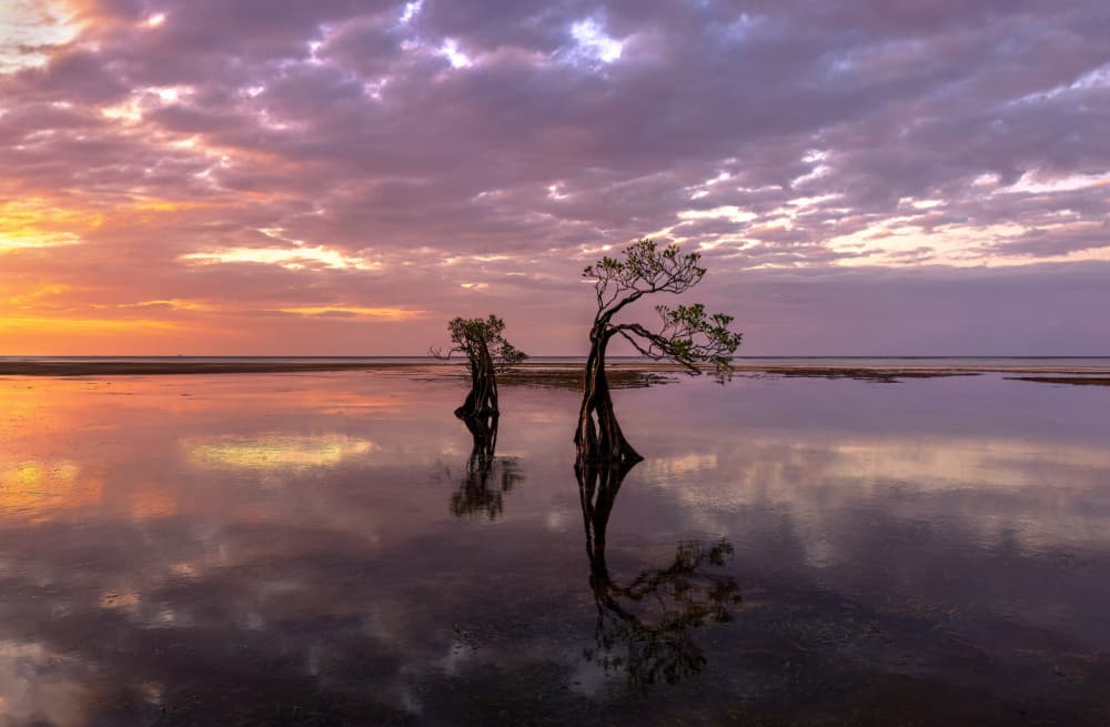 Vibrant Sunset Reflection by Jie Jin — canvas wall art