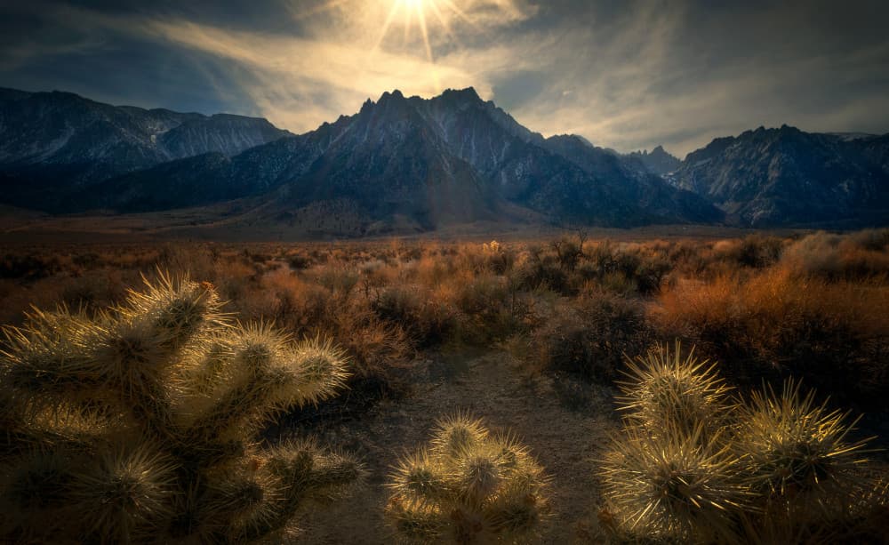 Golden Desert Landscape by Ruiqing P. — canvas wall art