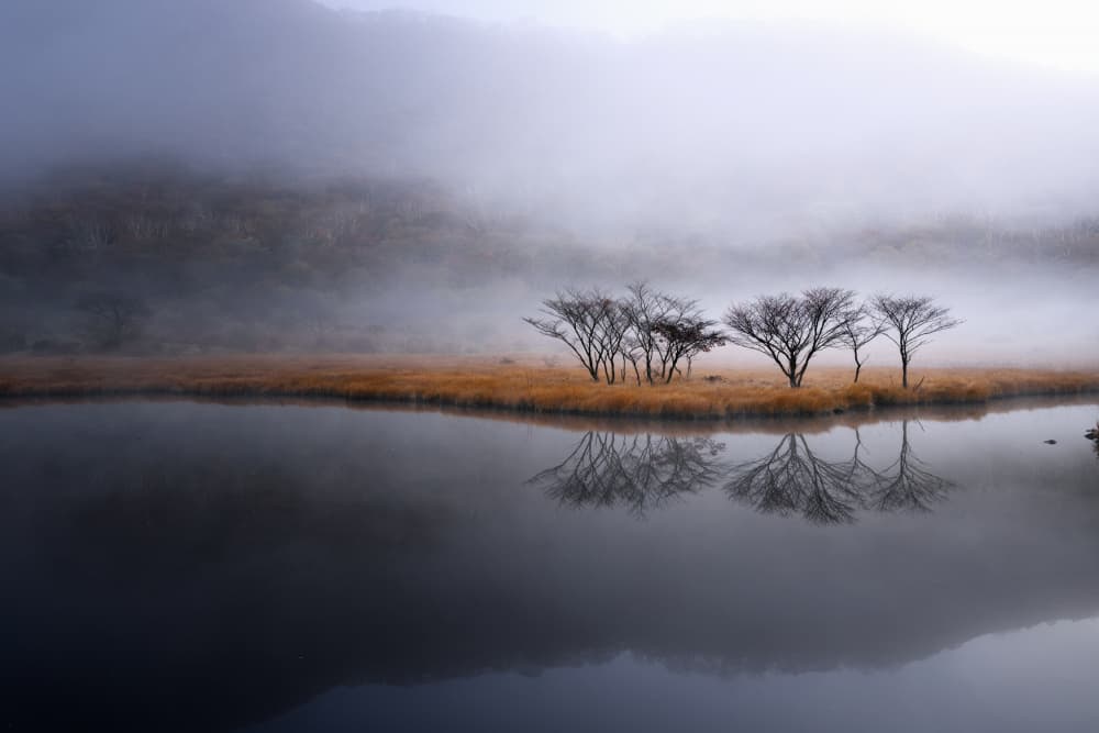 Misty Lake Reflections by K_Tsunoda — canvas wall art