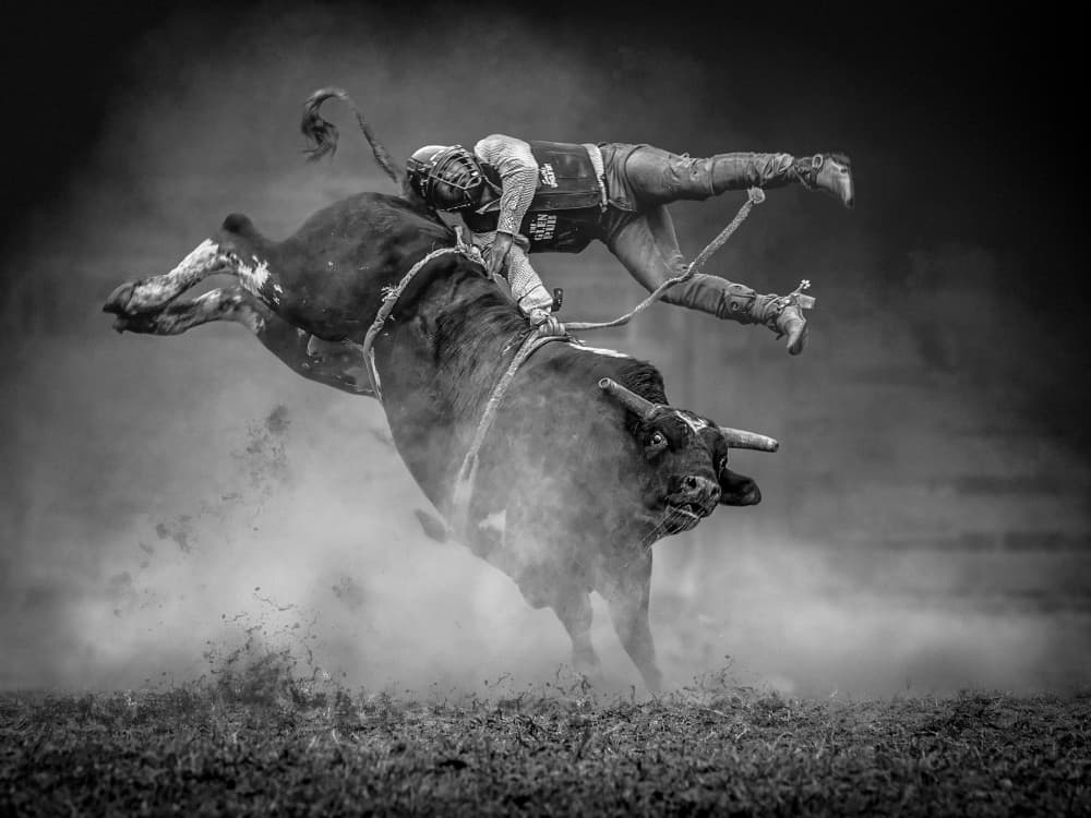 Epic Bull Riding Moment by Frank Ma — canvas wall art