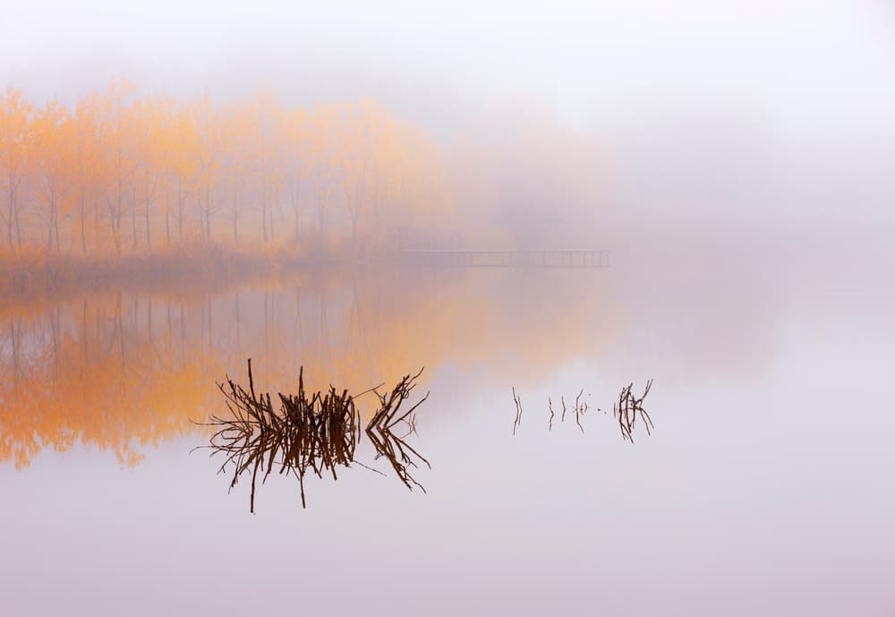 Misty Golden Reflections by Julien Oncete — canvas wall art