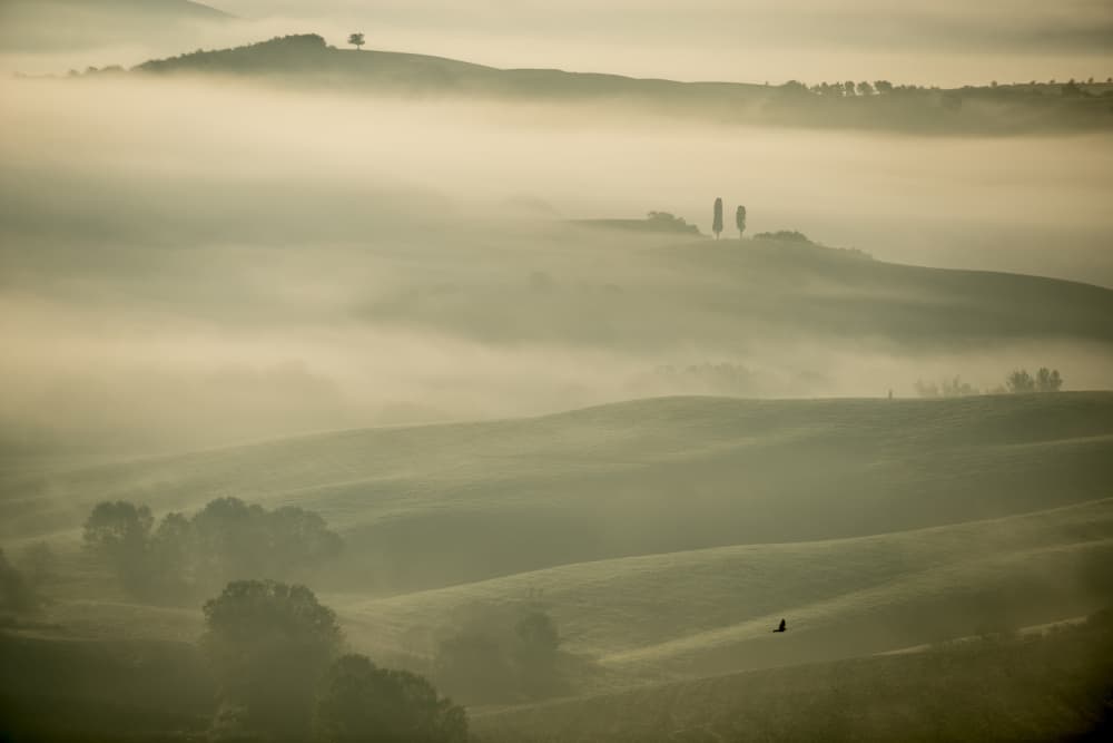 Misty Morning Hills by Donato Bellomo — canvas wall art