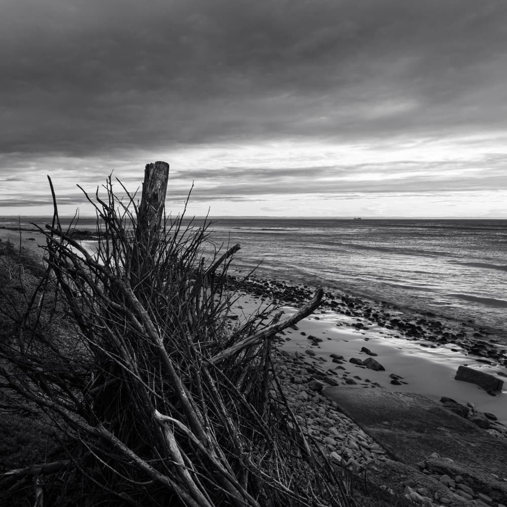 Moody Coastal Landscape by Ray Truter — canvas wall art