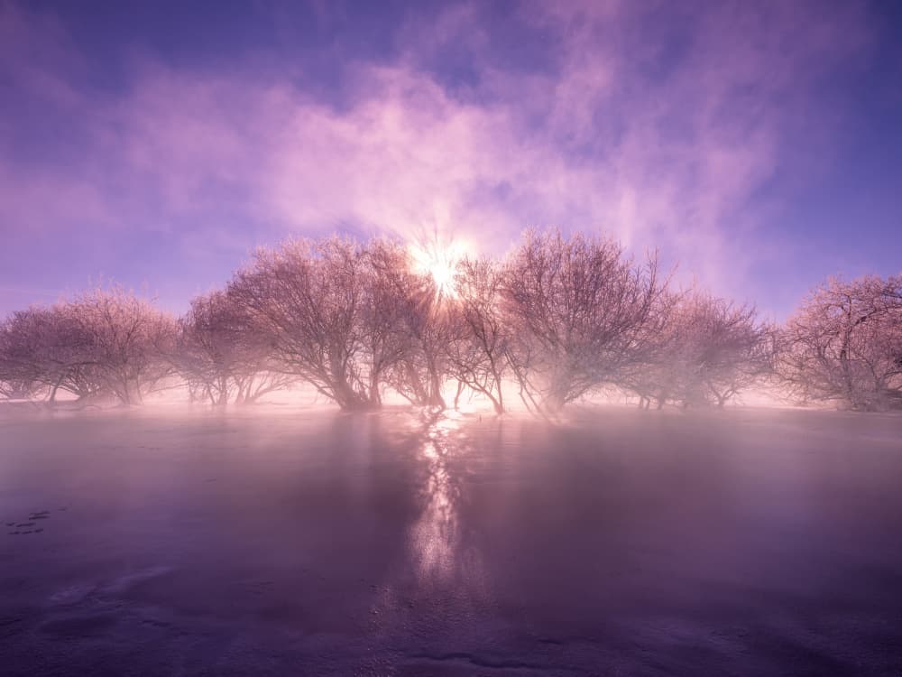 Misty Winter Sunrise by Cai  ning — canvas wall art