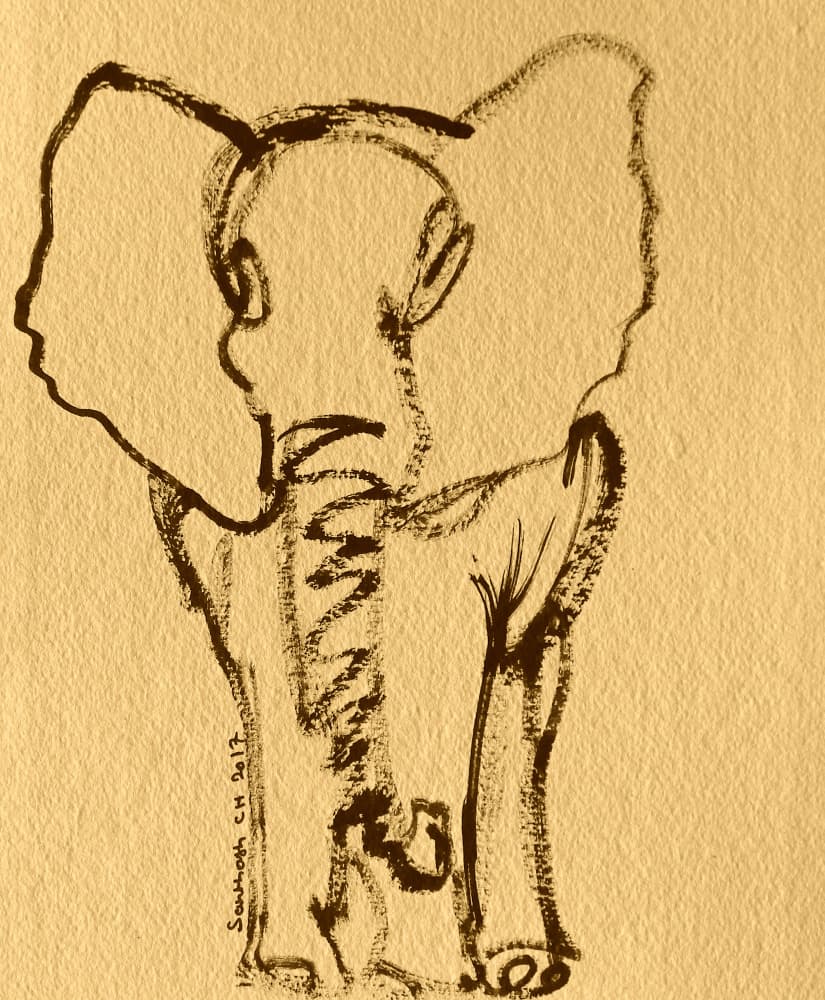 Baby Elephant Sketch by Santhosh ch — canvas wall art