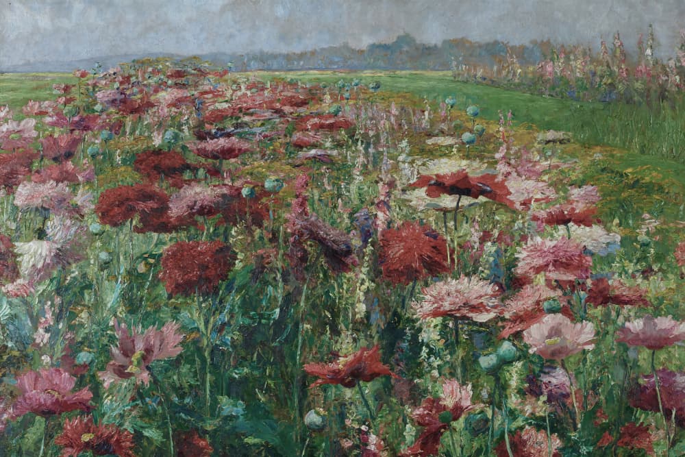 Vibrant Poppy Meadow by The Art Concept — canvas wall art