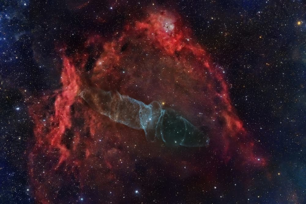 Cosmic Squid Nebula by Jose Maria D. Barba — canvas wall art