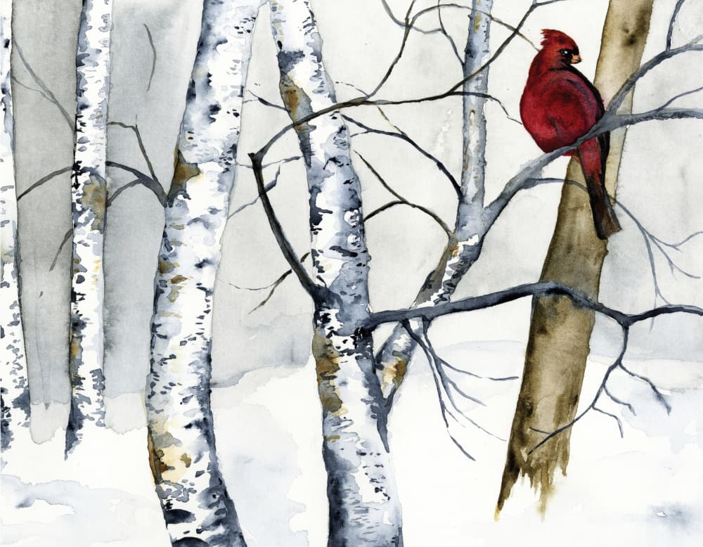 Red Cardinal Birch Forest by RodMacIver — canvas wall art
