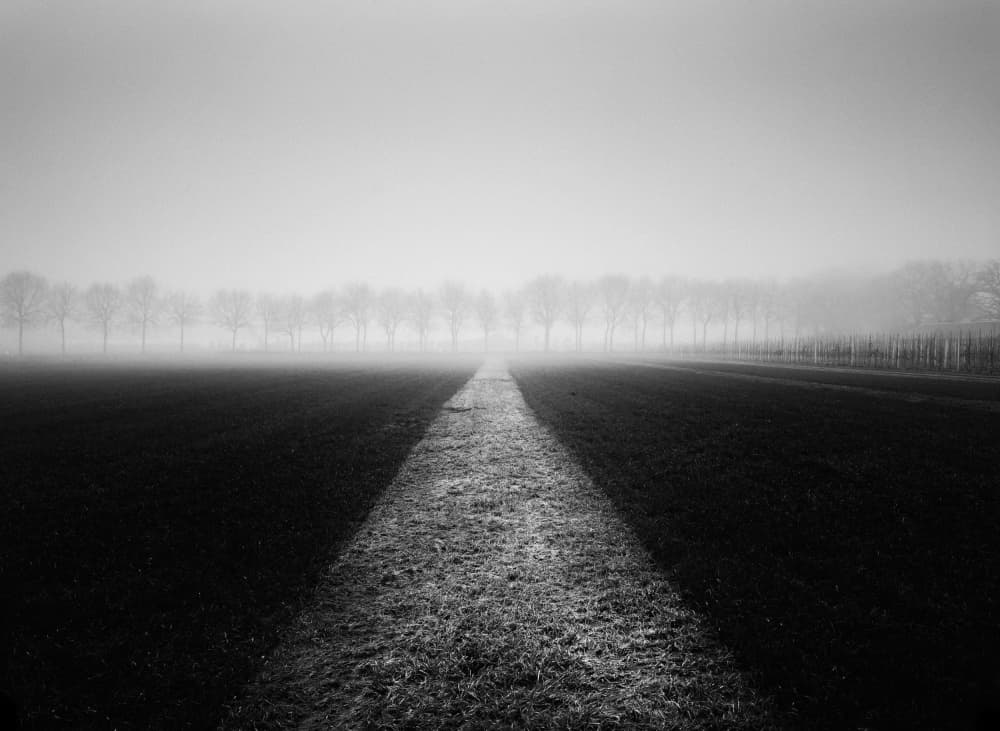 Misty Winter Path by Adam Dauria ☂ — canvas wall art