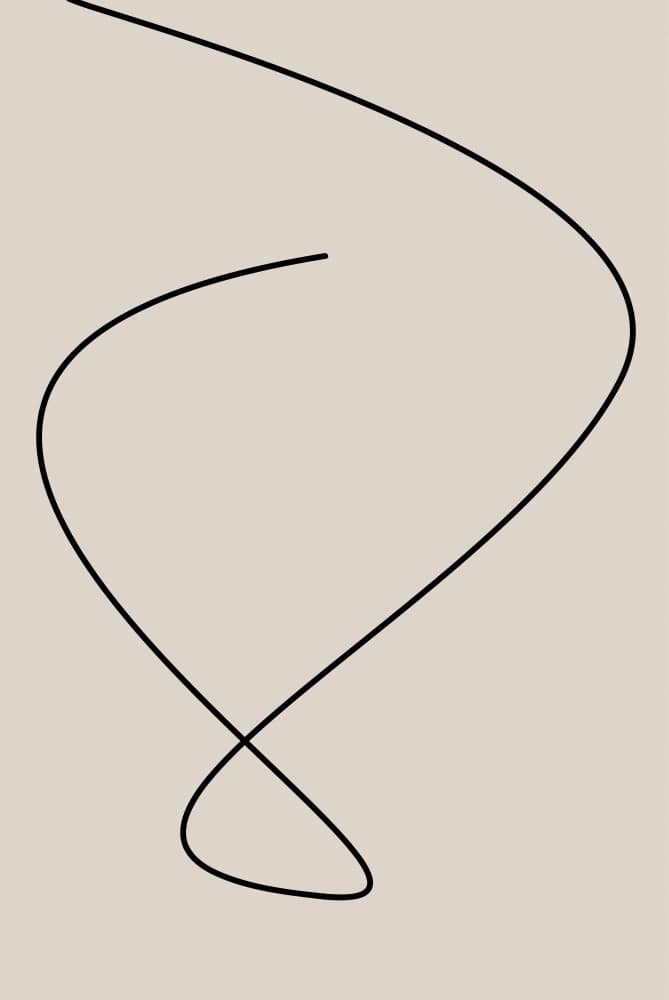 Elegant Flowing Line by Oju Design — canvas wall art