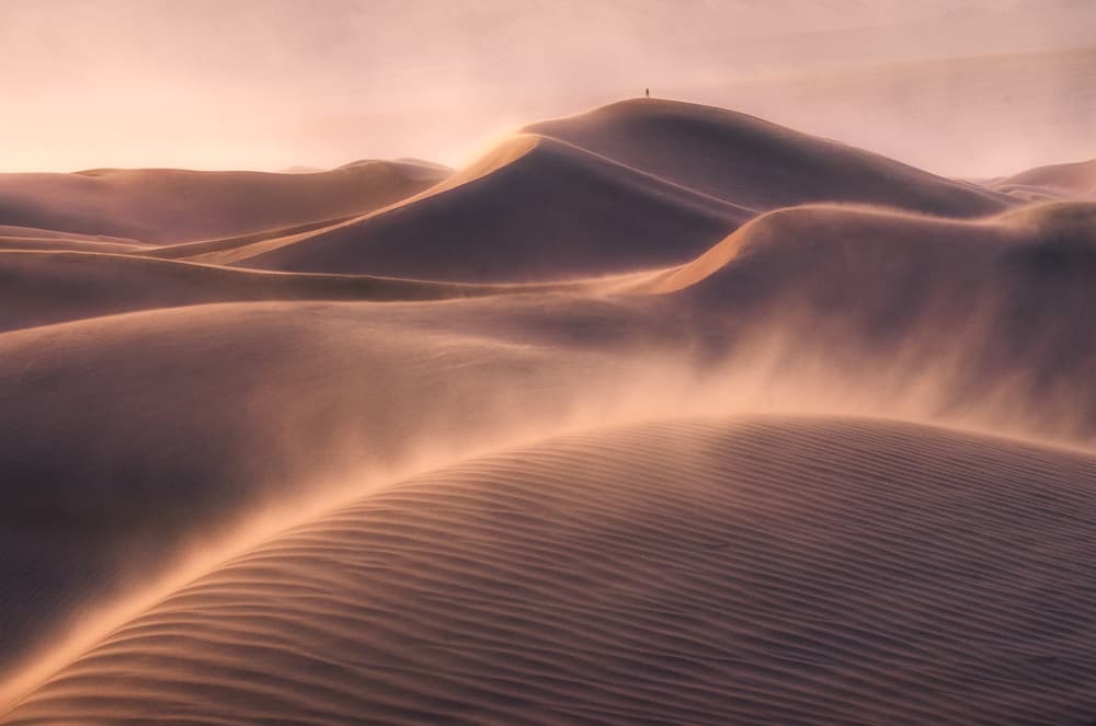 Golden Desert Solitude by INIGO CIA — canvas wall art