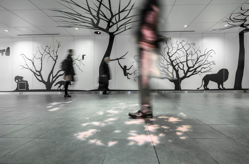 Shadow Forest Passage by Tomoshi Hara — canvas wall art