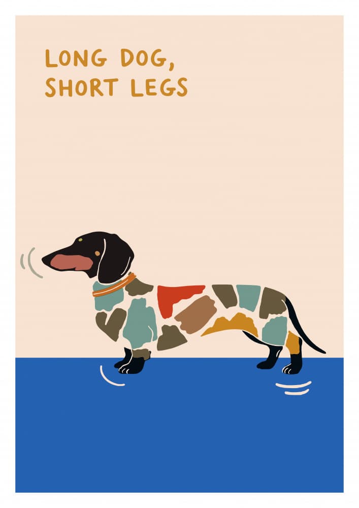 Long Dog Short Legs by casa cartissi — canvas wall art