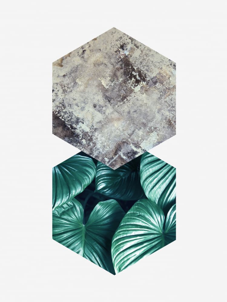 Geometric Stone and Leaves by Vitor Costa — canvas wall art