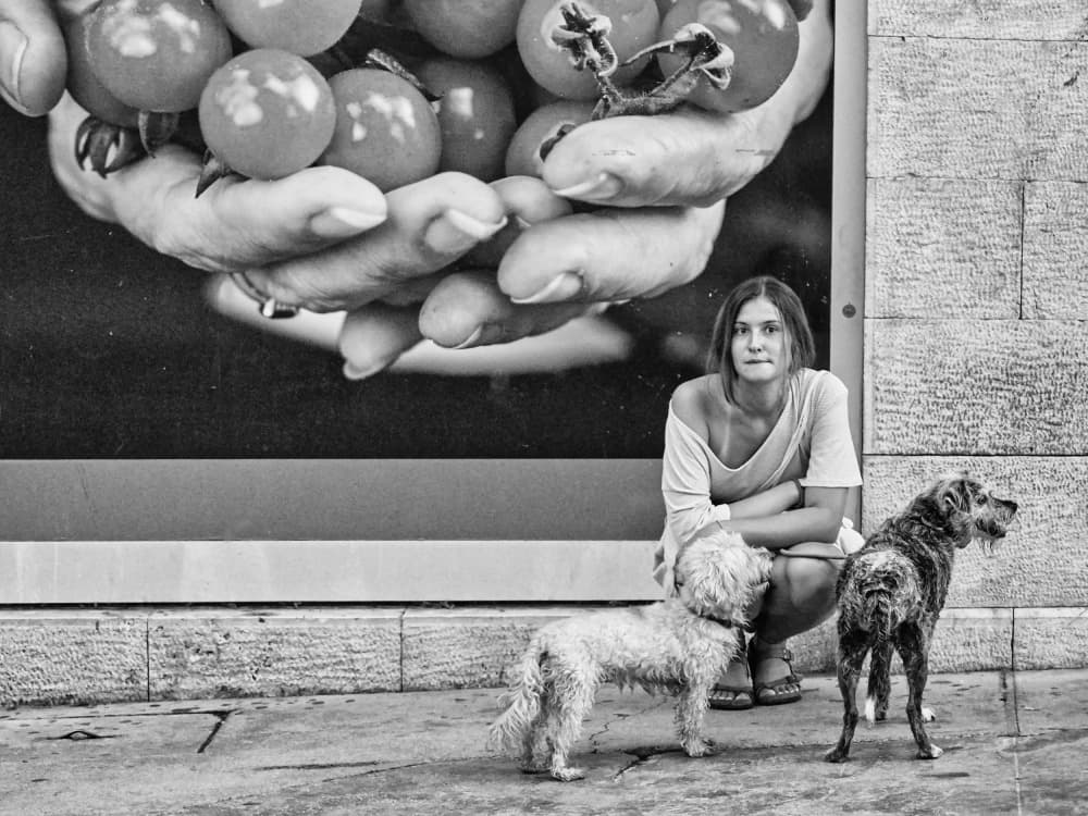Street Life With Dogs by Marko Buntic — canvas wall art