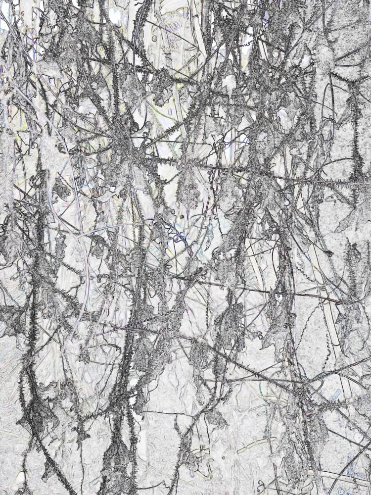 Tangled Branches Pattern by Santhosh ch — canvas wall art