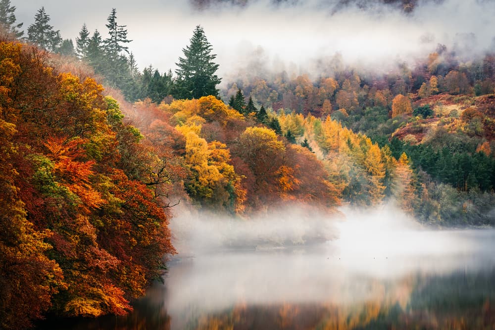 Misty Autumn Lake by Adrian Popan — canvas wall art