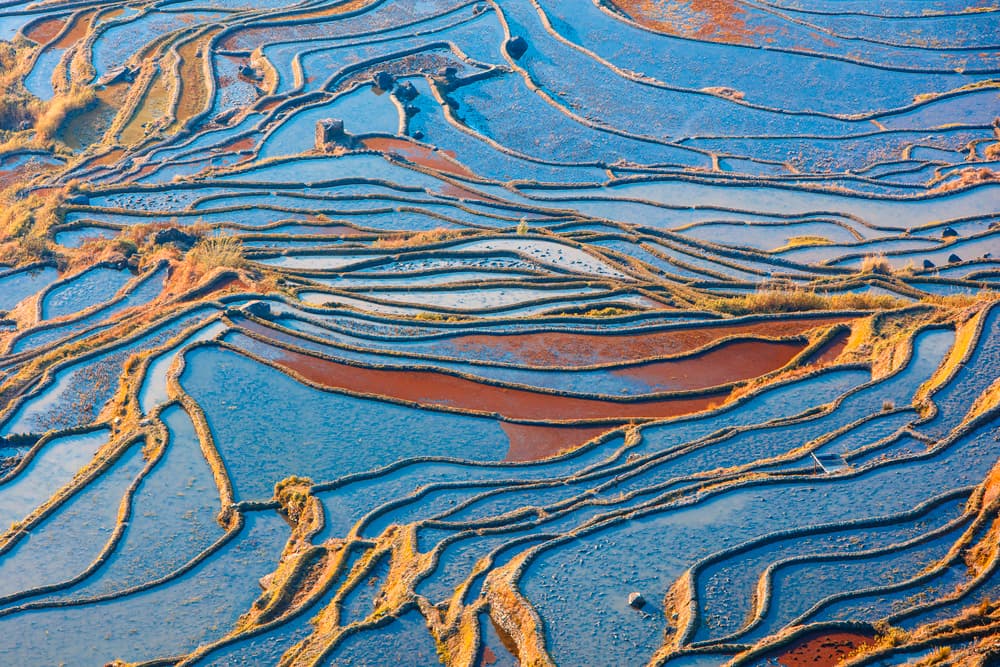 Vibrant Terraced Landscape by Shin Woo Ryu — canvas wall art