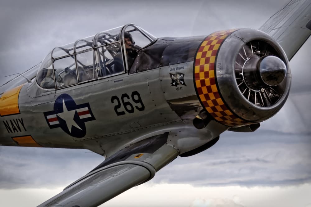 Classic Warbird Flight by Thomas McCleave — canvas wall art