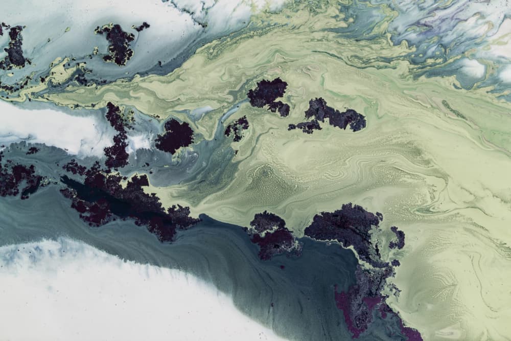 Best Sellers - Untouched Estuaries