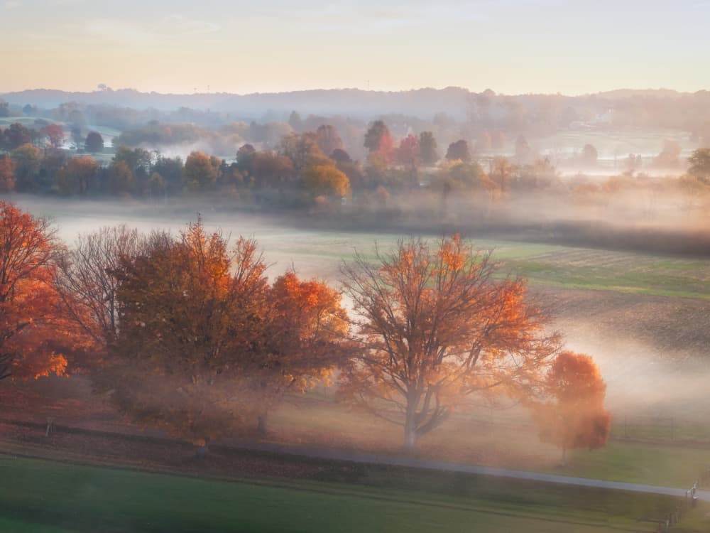 Autumn Morning Fog by Liguang Huang — canvas wall art
