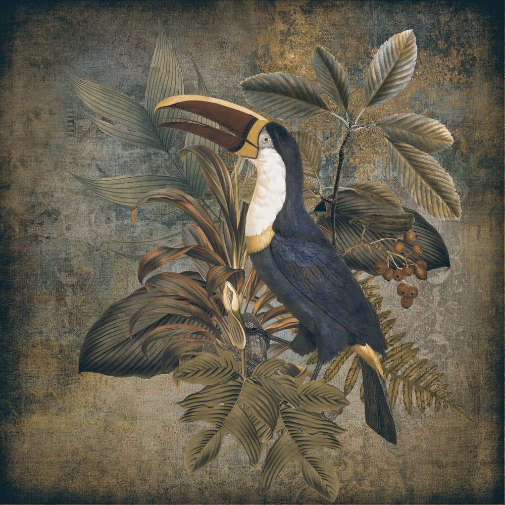 Vintage Tropical Toucan by Andrea Haase — canvas wall art