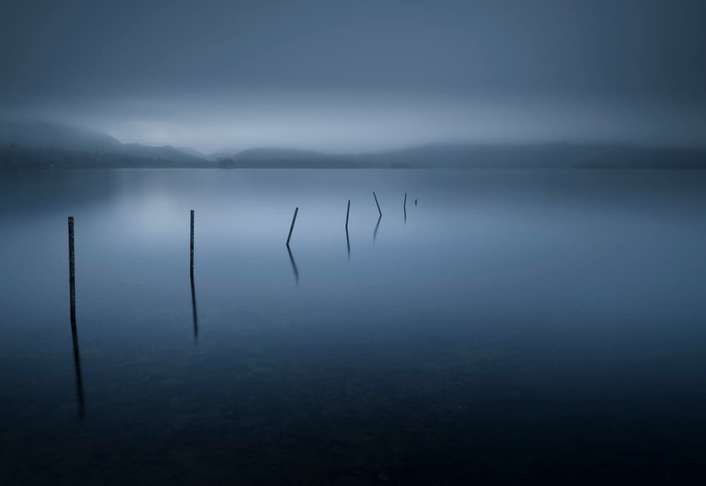 Misty Lake Posts by David Ahern — canvas wall art