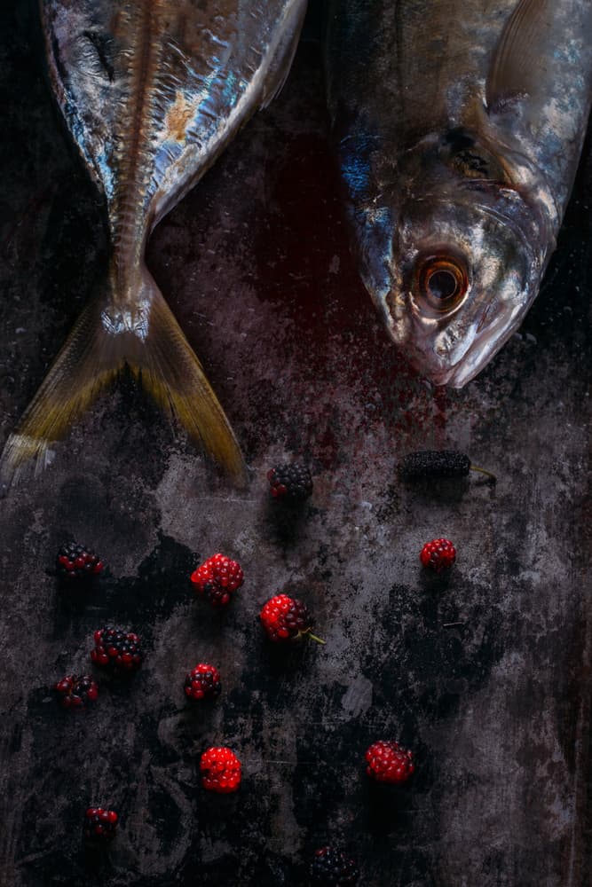 Moody Fish and Berries by Farid Kazamil — canvas wall art