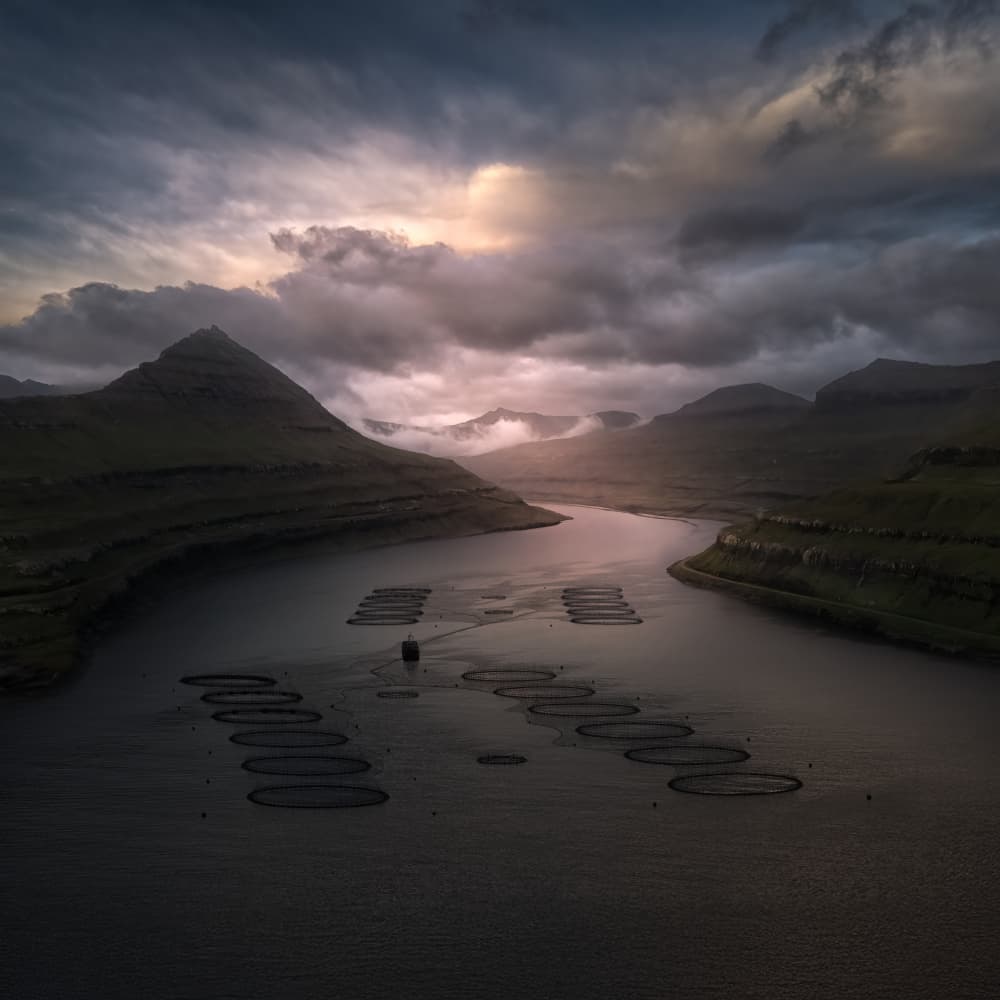 Fjord Fish Farms Dusk by Larry Deng APA — canvas wall art