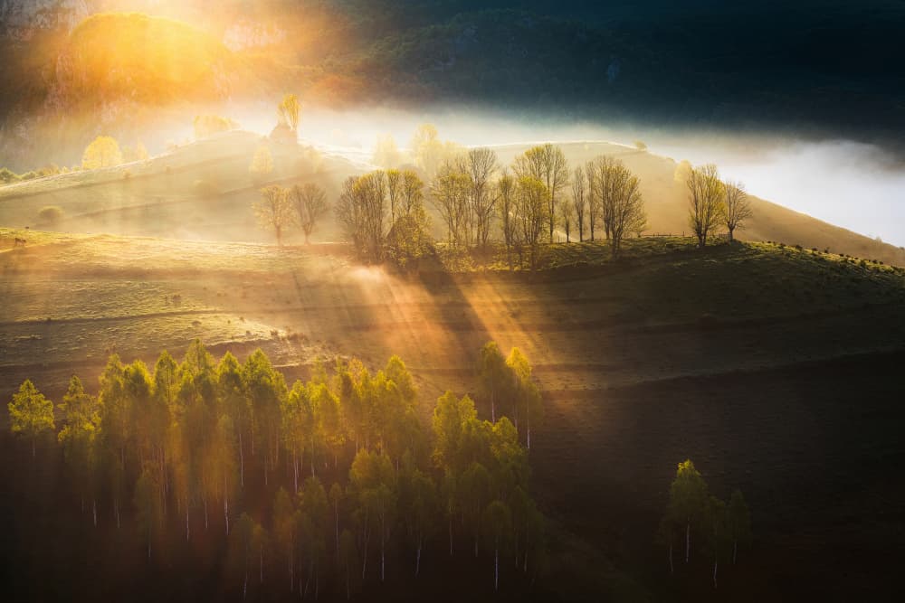 Golden Morning Rays by Vlad Paulet — canvas wall art