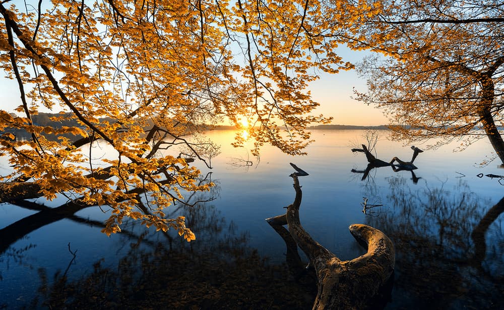 Golden Autumn Lake Sunrise by Keller — canvas wall art