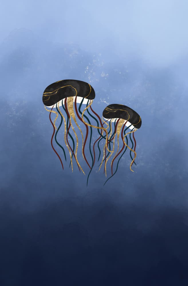 Elegant Deep Sea Jellyfish by Anne-Marie Volfova — canvas wall art