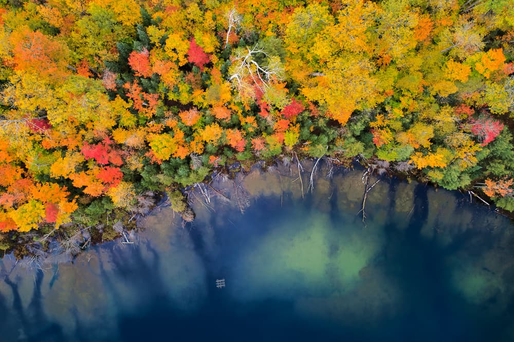 Vibrant Autumn Forest Lake by John Fan — canvas wall art