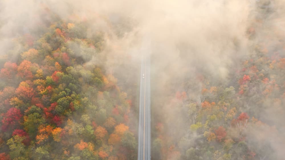 Foggy Autumn Road by John Fan — canvas wall art
