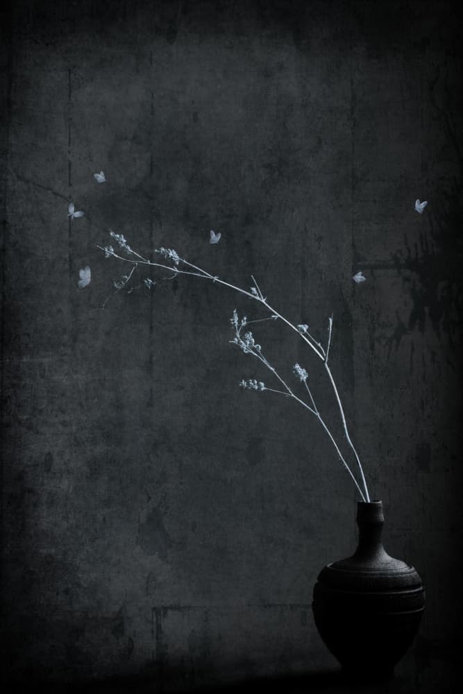 Minimalist Branch With Butterflies by Cicek Kiral — canvas wall art