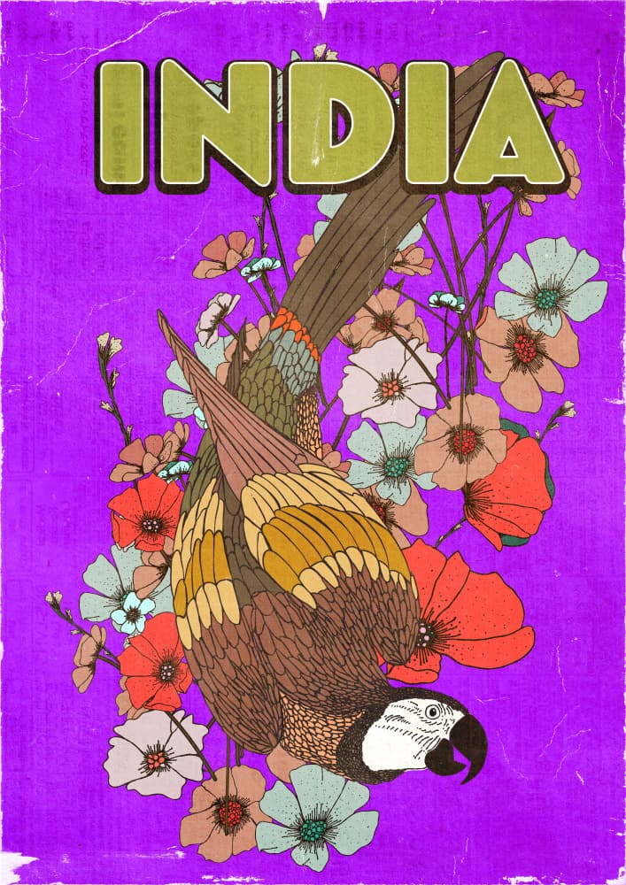 Colorful India Parrot by Nicholas — canvas wall art