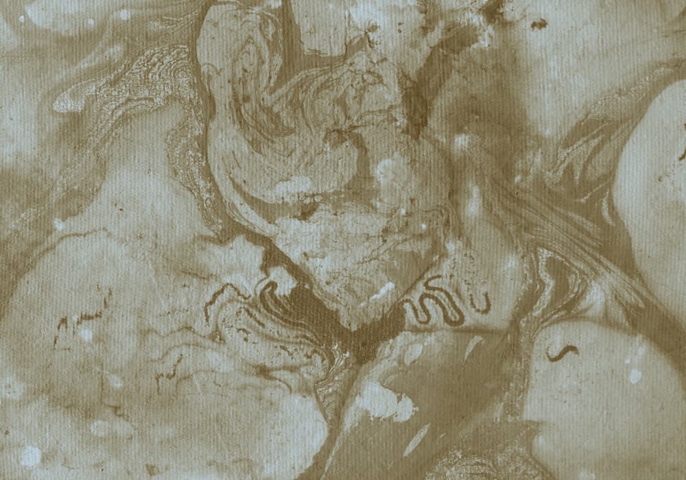 Organic Sepia Flow by Santhosh ch — canvas wall art