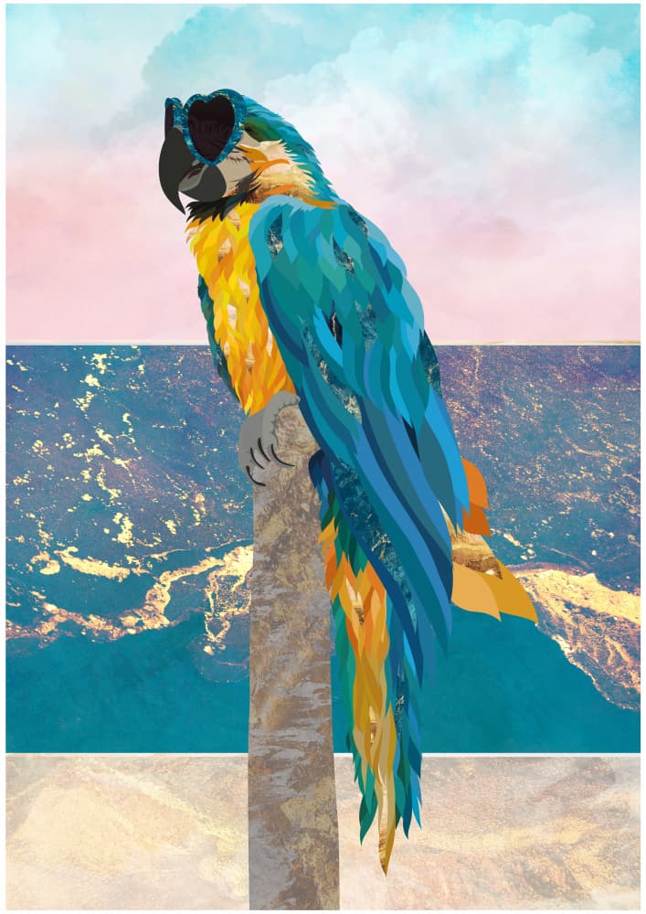Stylish Macaw Sunglasses by Sarah Manovski — canvas wall art