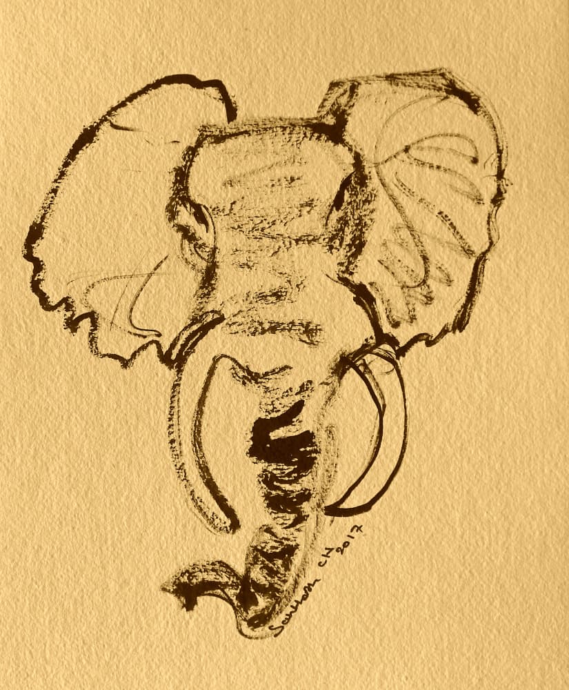 African Elephant Sketch by Santhosh ch — canvas wall art
